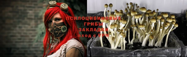 ГАЛЛЮЦИНОГЕННЫЕ ГРИБЫ Алексин