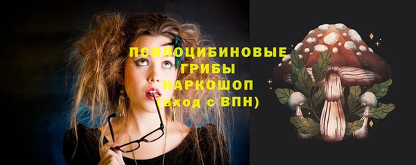 ГАЛЛЮЦИНОГЕННЫЕ ГРИБЫ Алексин
