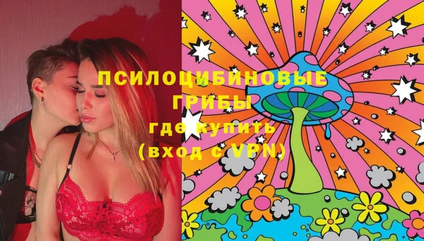 ГАЛЛЮЦИНОГЕННЫЕ ГРИБЫ Алексин