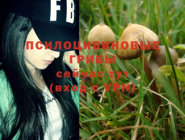 MESCALINE Алексеевка