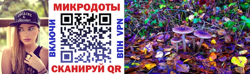 блэк спрут сайт  Кропоткин  Галлюциногенные грибы прущие грибы 