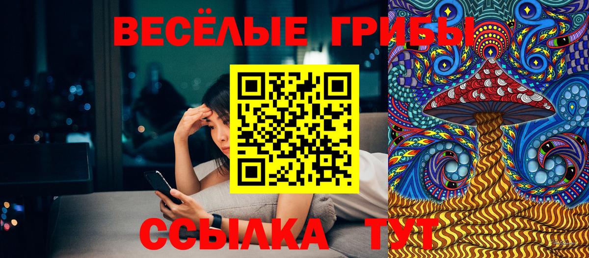 Кропоткин  Галлюциногенные грибы мухоморы  Вход с VPN  Галлюциногенные грибы мухоморы 